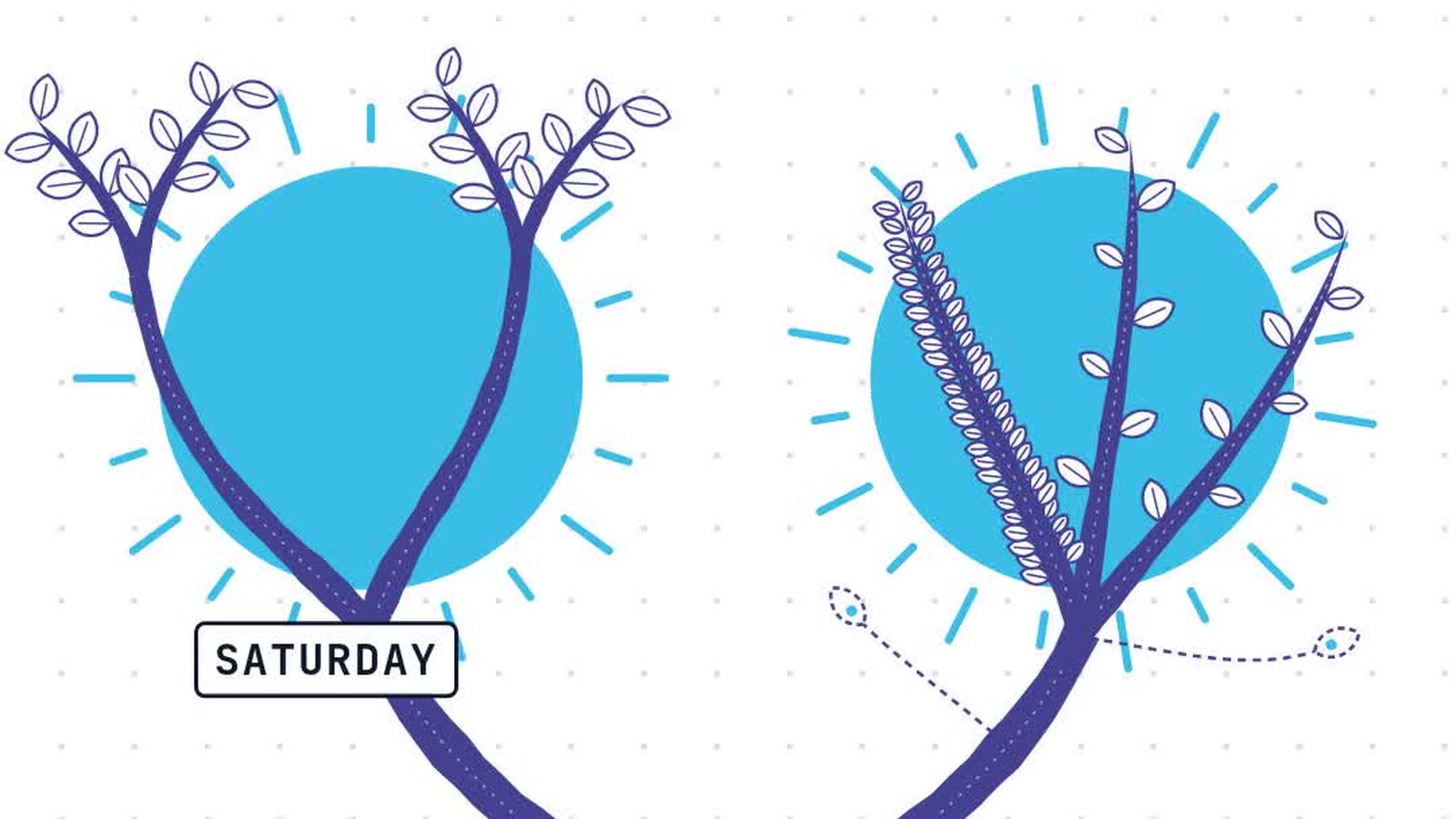 ACT or SAT: decide with one Saturday morning of each